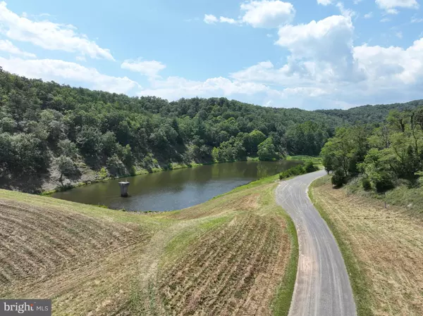 Burlington, WV 26710,122.63 ACRES HARNESS RUN RD