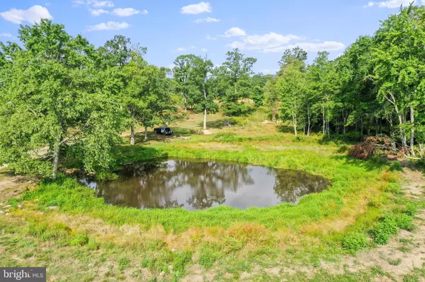 Woodstock, VA 22664,34 ACRES STULTZ GAP RD