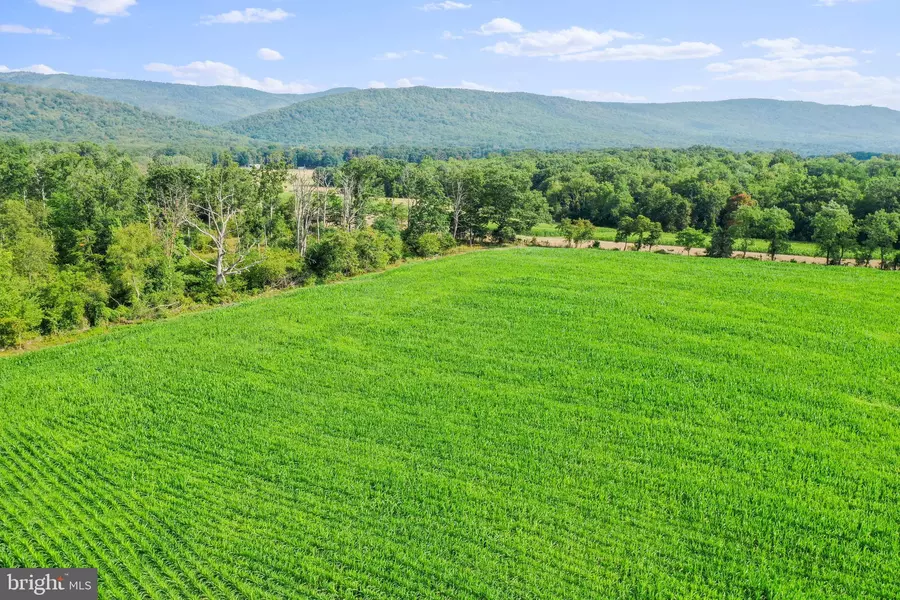 34 ACRES STULTZ GAP RD, Woodstock, VA 22664