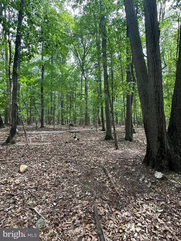 Harpers Ferry, WV 25425,LOT #1 TRAIL OF TEARS