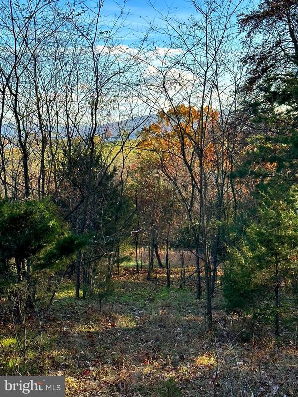 LOT 48 SQUIRREL DEN DR, Maysville, WV 26833