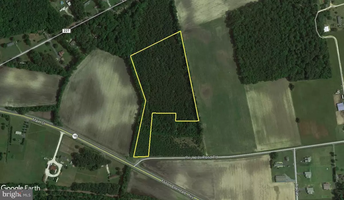 Ellendale, DE 19941,10.0 ACRES REYNOLDS POND RD