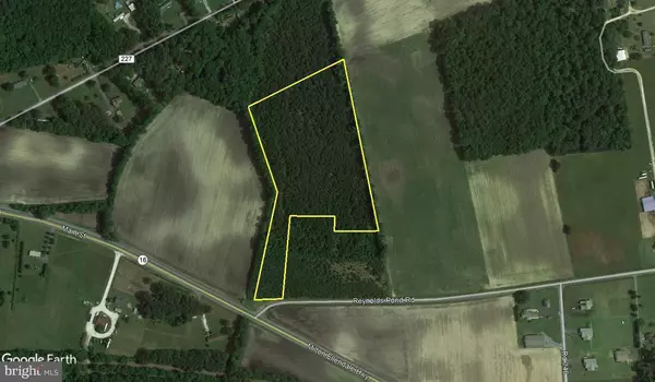 10.0 ACRES REYNOLDS POND RD, Ellendale, DE 19941