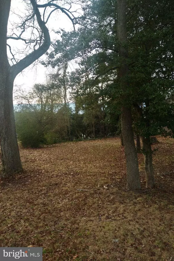 Montross, VA 22520,LOT 39 SOUTH GLEBE RD