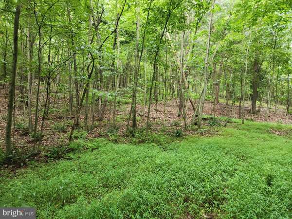 LOT KNOTTY PINE, Newport, PA 17074