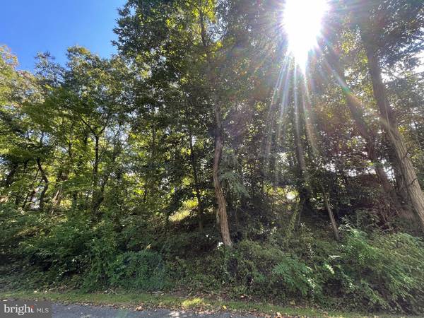 LOT 56 LAKEVIEW CIR, Louisa, VA 23093