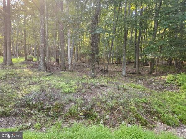 LOT 004 VACATION DR, White Haven, PA 18661