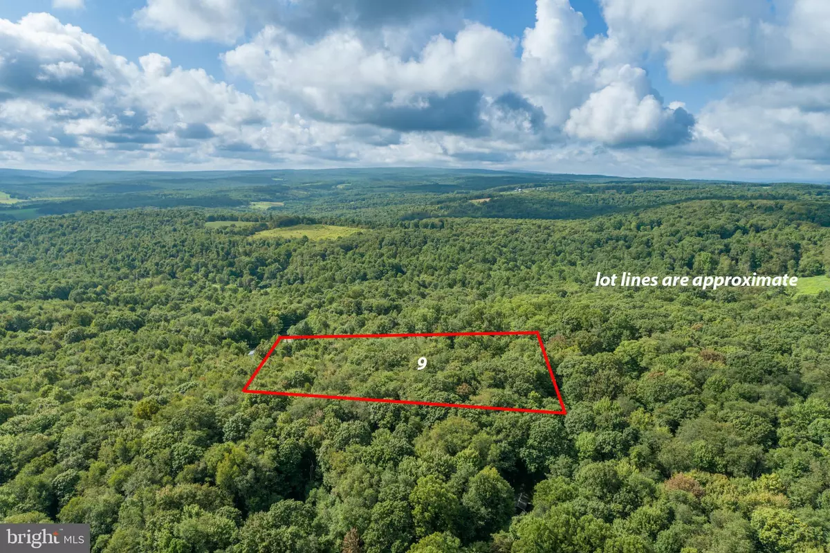 Friendsville, MD 21531,LOT 9 HOLLIS BEAULIEU RD