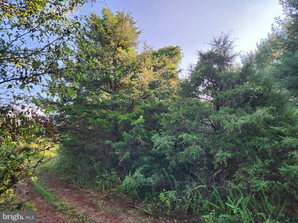 LOT 14 THREE MILE MOUNTAIN LN, Mount Jackson, VA 22842