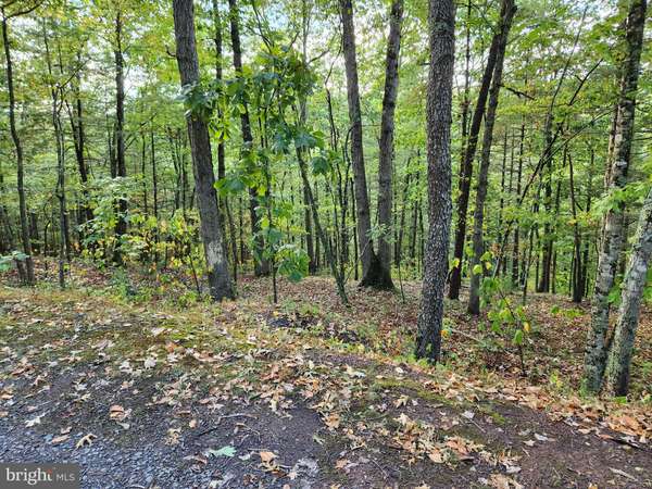 Mount Jackson, VA 22842,LOT 445 CHESTNUT RIDGE ROAD