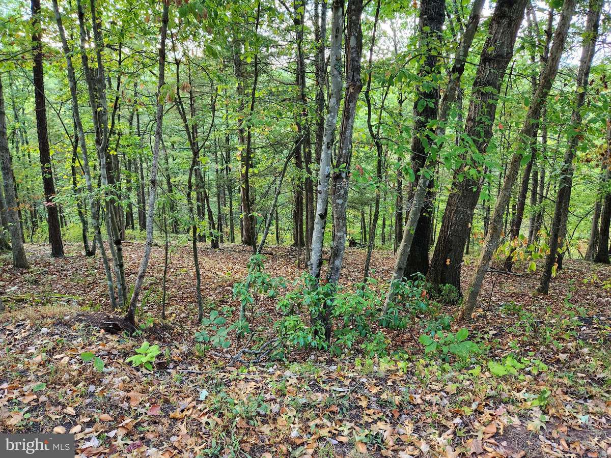 Mount Jackson, VA 22842,LOT 445 CHESTNUT RIDGE ROAD