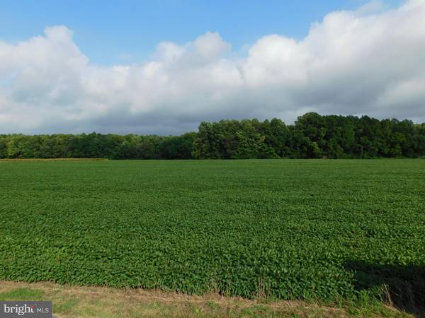 Bishopville, MD 21813,EASTERLY PORTION LOT 1, DAYE GIRLS ROAD