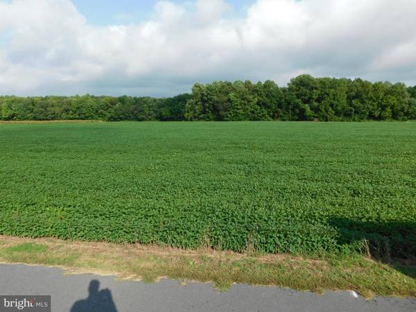 Bishopville, MD 21813,EASTERLY PORTION LOT 1, DAYE GIRLS ROAD