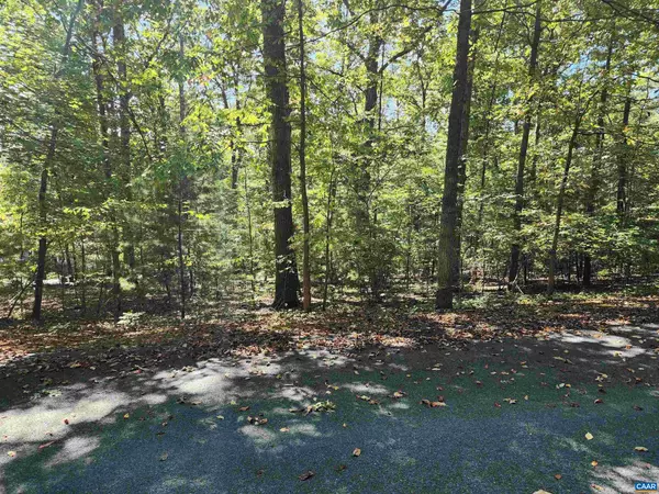 Nellysford, VA 22958,14C WATERS EDGE LN