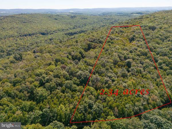 LOT 9 BETTS LN, Oakland, MD 21550