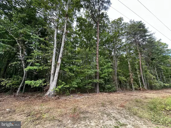 Mineral, VA 23117,LOT 6 CENTERVILLE