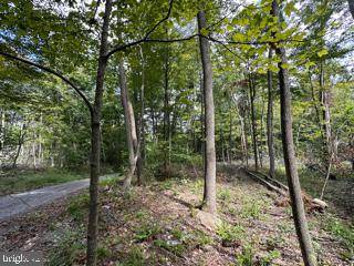 MOUNTAIN AIR SUBDIVISION - LOT 15, Springfield, WV 26763