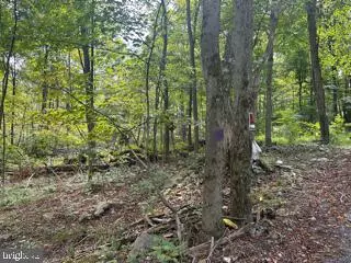 Springfield, WV 26763,MOUNTAIN AIR SUBDIVISION - LOT 15