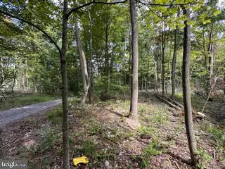 Springfield, WV 26763,MOUNTAIN AIR SUBDIVISION - LOT 15