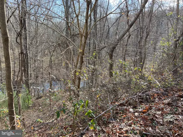 LOT 384 - PINEHURST HEMLOCK POINT RD, New Market, MD 21774