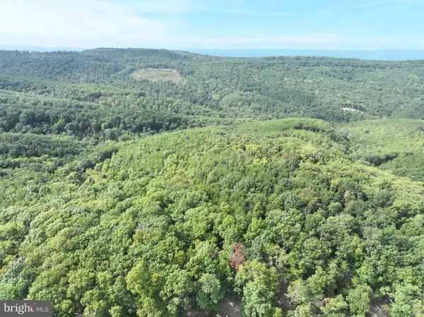 Springfield, WV 26763,LOT 131 BLUFFS BLUE BEACH RD