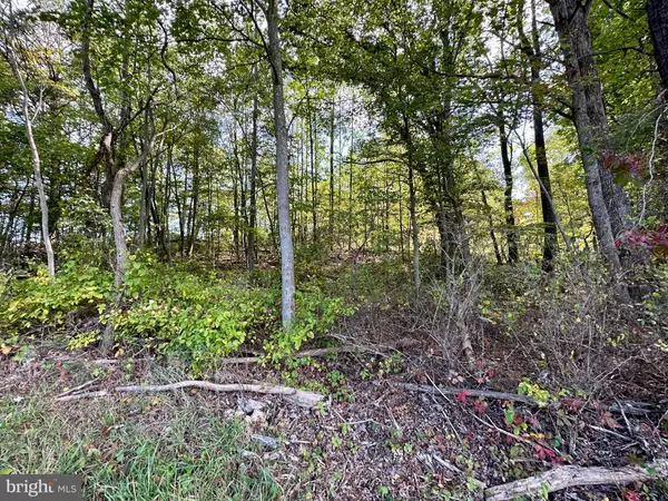 Augusta, WV 26704,LOT 18 SHORT MOUNTAIN VILLAGE DR