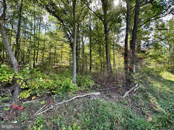 Augusta, WV 26704,LOT 18 SHORT MOUNTAIN VILLAGE DR