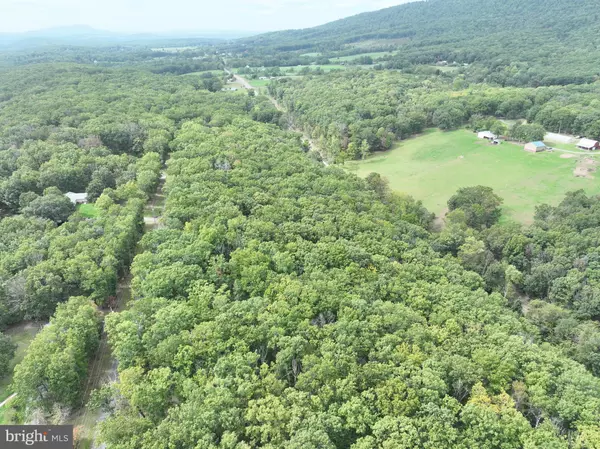 Paw Paw, WV 25434,10.66 ACRES FRANK HAINES RD