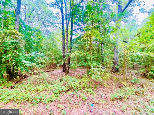 LOT 63 SENORA RD, Lancaster, VA 22503