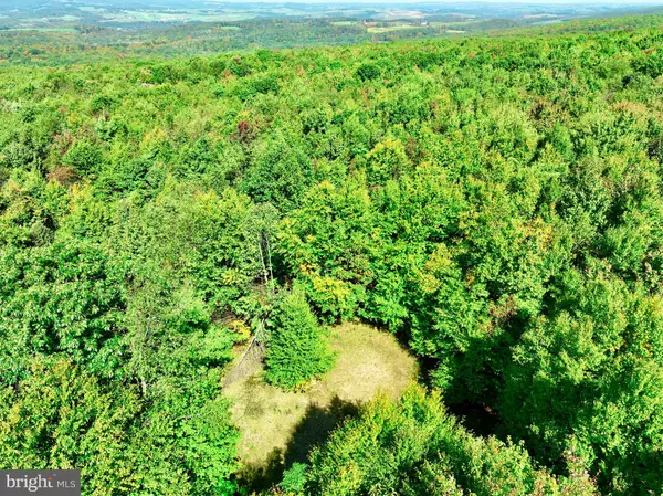 Grantsville, MD 21536,LOT 12 WINDSWEPT LN