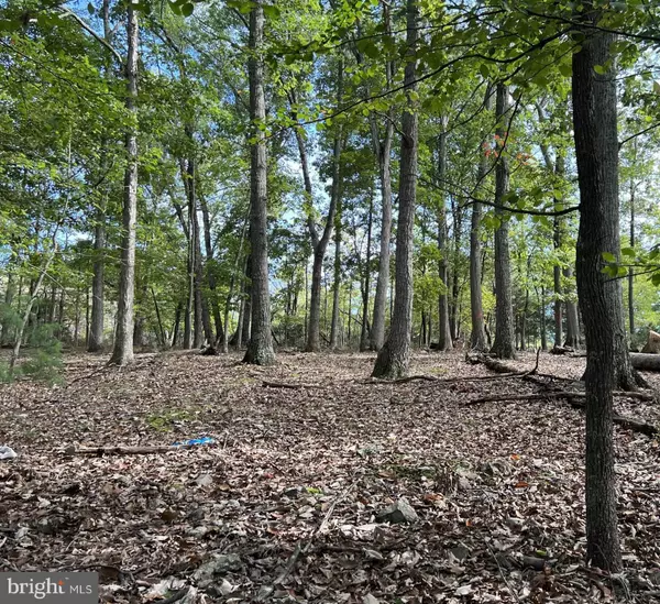 TBD JANES WAY #LOT 27, High View, WV 26808