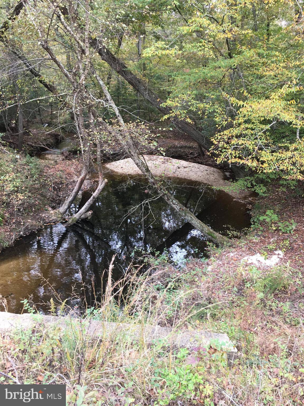 Lexington Park, MD 20653,20450 AND PARCEL 428 OLD HERMANVILLE AND HERMANVILLE RD