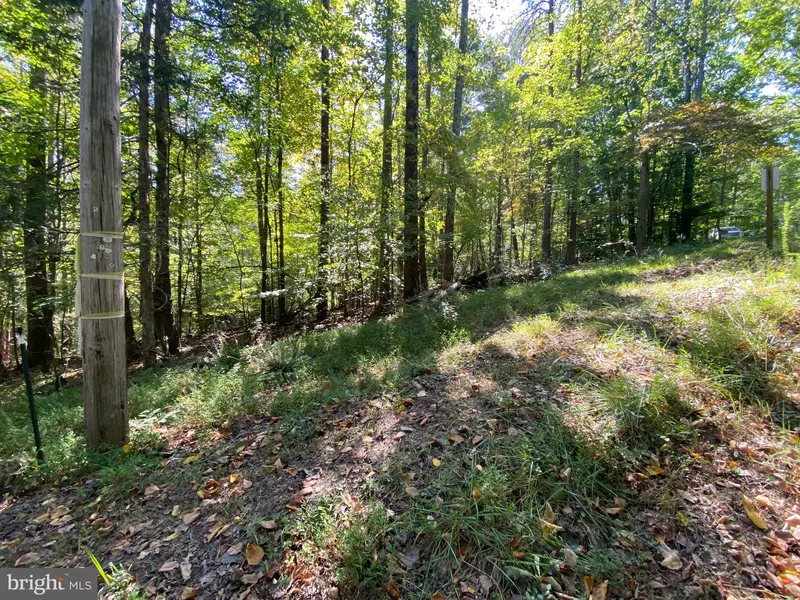 LOT 14 WHITE OAK DR N, Madison, VA 22727