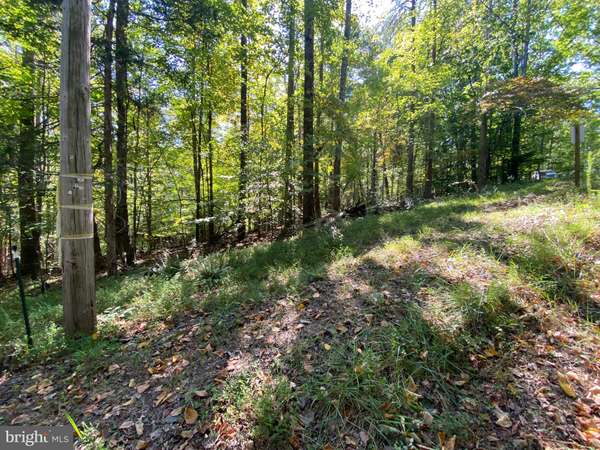 LOT 14 WHITE OAK DR N, Madison, VA 22727