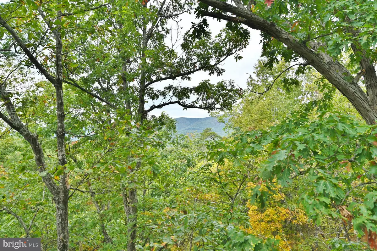 Basye, VA 22810,284 PHEASANT