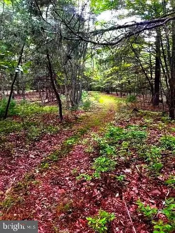 High View, WV 26808,LOT 4 SILENT WAY