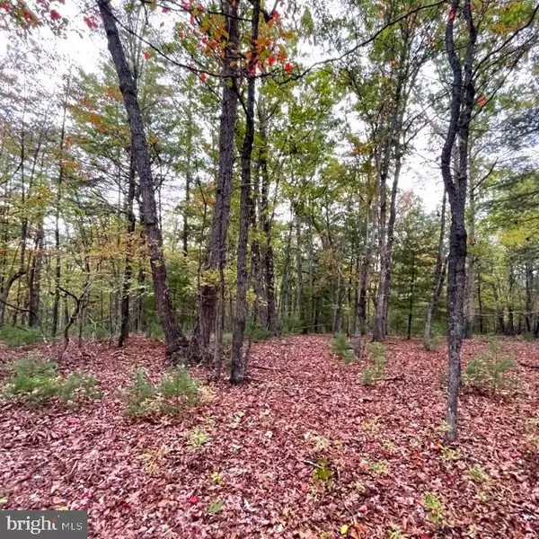 High View, WV 26808,LOT 4 SILENT WAY