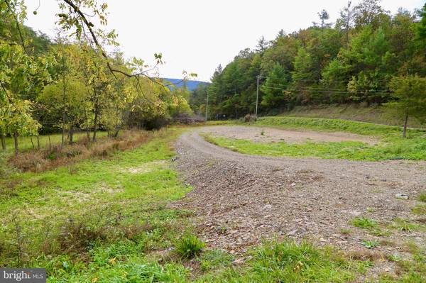 3.03 AC OFF RT.259 / COVE MOUNTAIN ROAD, Mathias, WV 26812