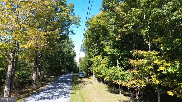 Berkeley Springs, WV 25411,TIMBER RIDGE RD