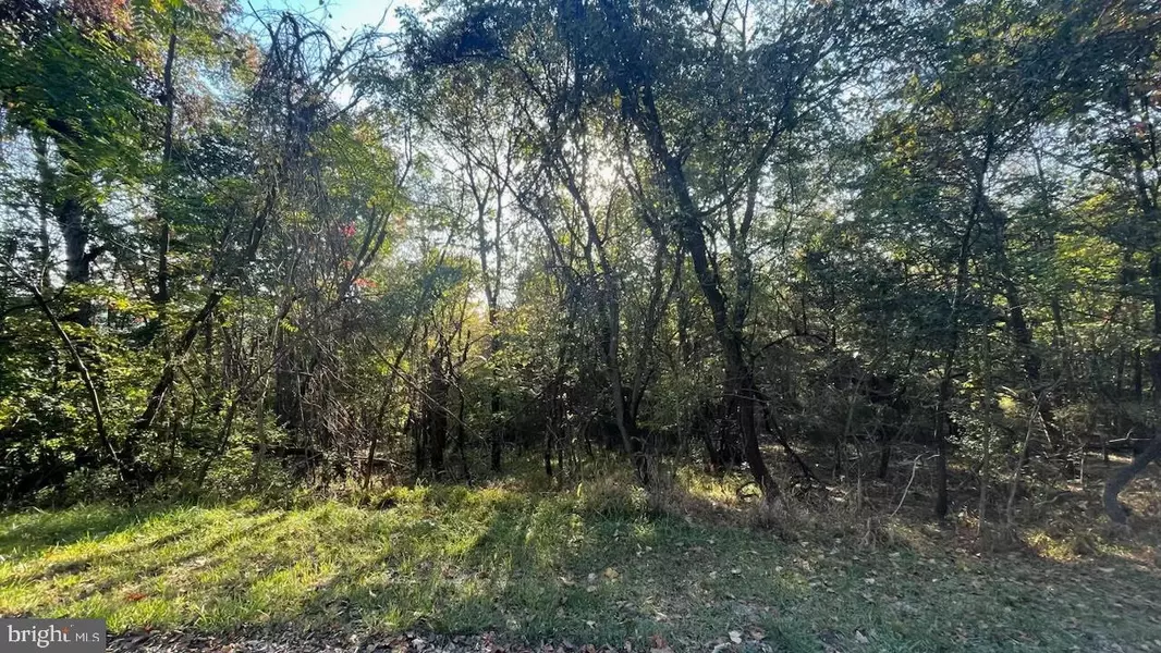 LOT B23 WOODSIDE, Rileyville, VA 22650