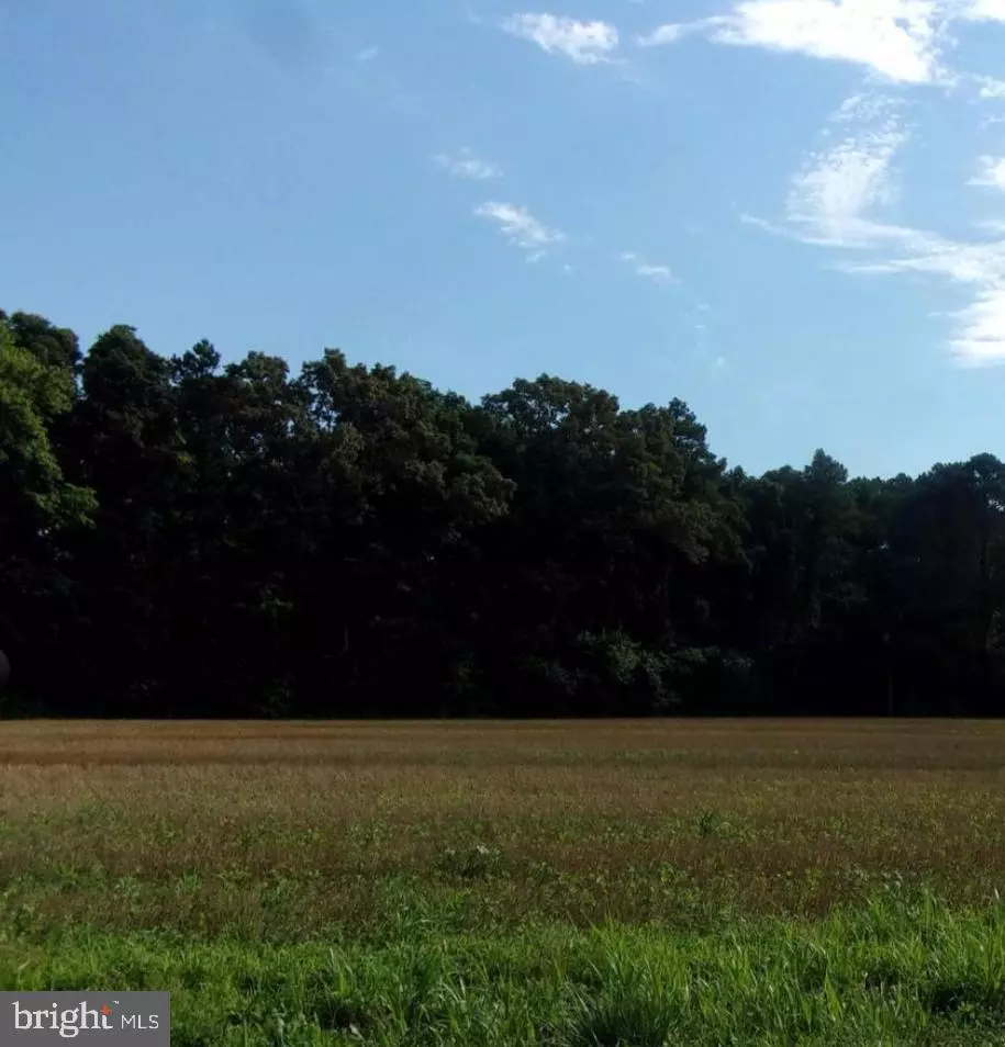 Georgetown, DE 19947,2 PARCEL 133-06.00-18.02 EAST PINEY GROVE ROAD