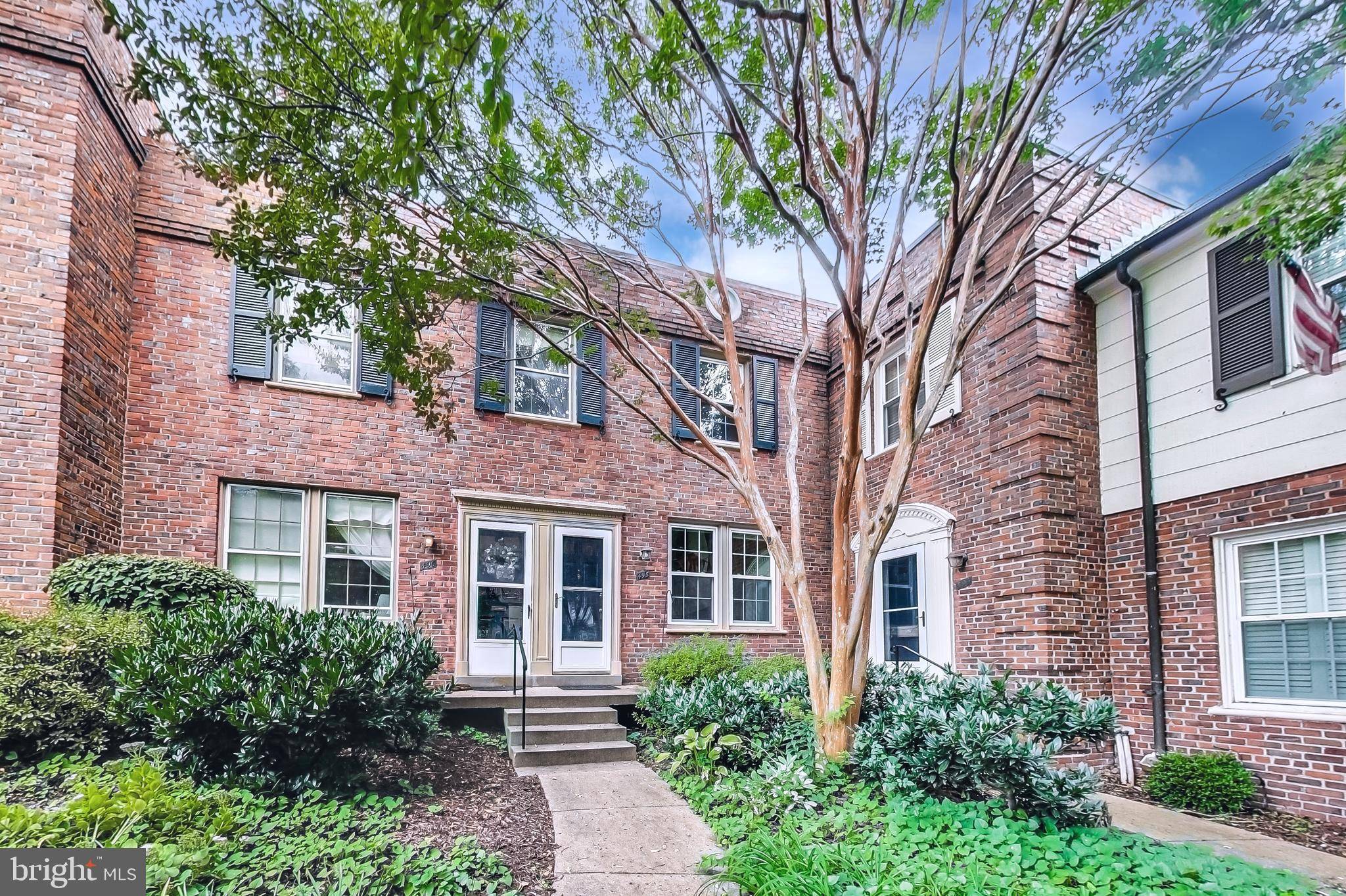 Arlington, VA 22204,1401 S EDGEWOOD ST #495