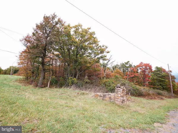 Winchester, VA 22602,LOT 211 ROCKWOOD TRL