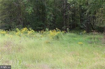 LOT #1 SUMMER VALLEY RD, New Ringgold, PA 17960