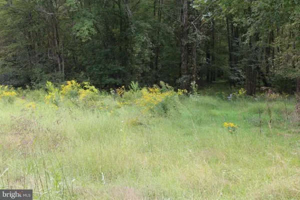 LOT #7 SUMMER VALLEY RD, New Ringgold, PA 17960