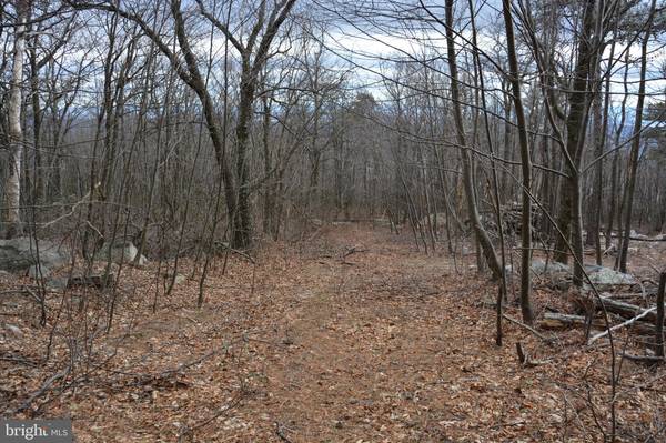 Winchester, VA 22602,ROCKWOOD TRL #49.61 ACRES