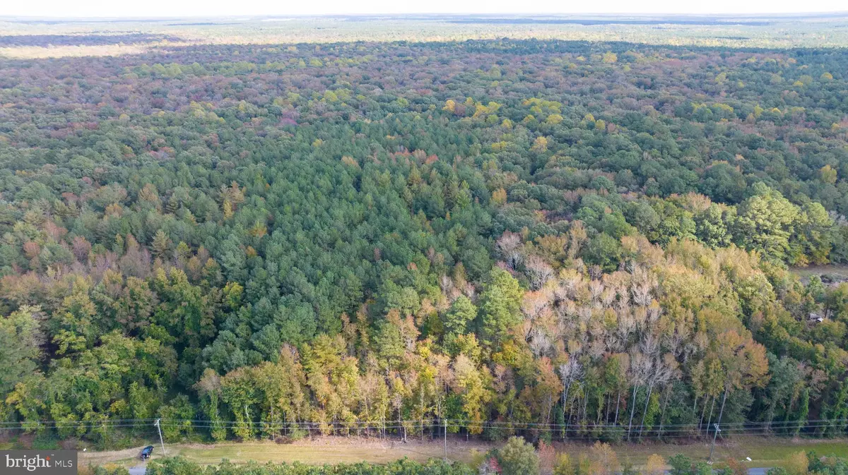 Ellendale, DE 19941,LOT 2 S OLD STATE RD