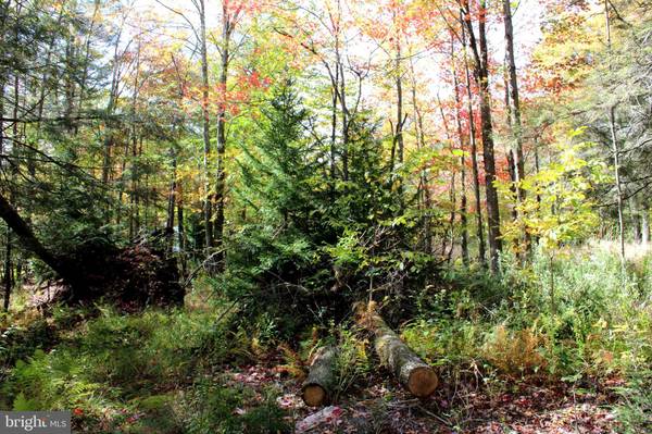 LOT 8 SCARLETT CARDINAL LANE, Mount Storm, WV 26739