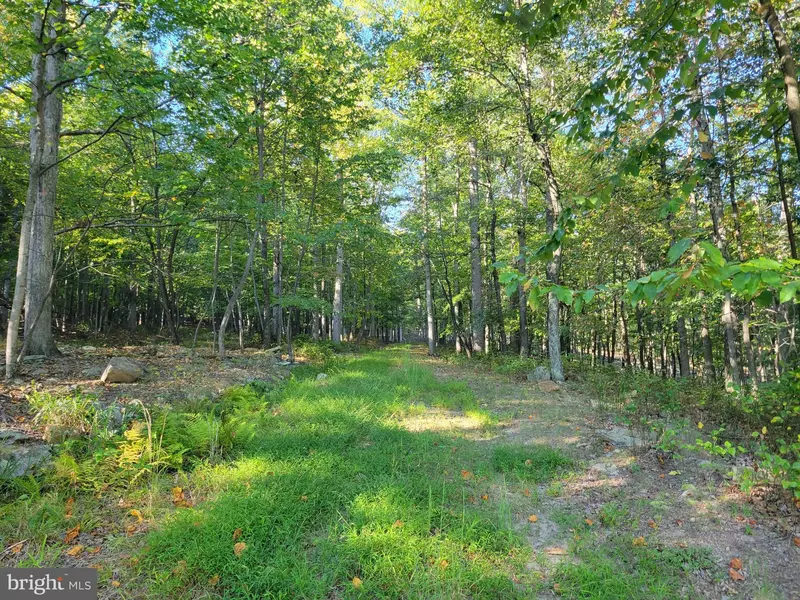 PARKSIDE TERRACE - LOT 52, Berkeley Springs, WV 25411