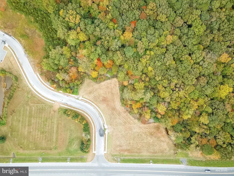 STONE BOUNDARY RD, Cambridge, MD 21613